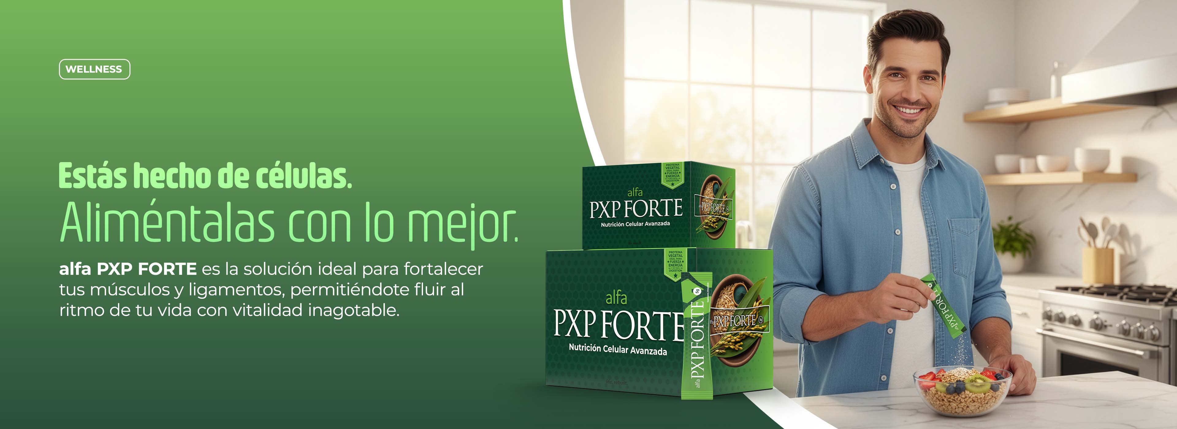 Banner-WP-H-FORTE