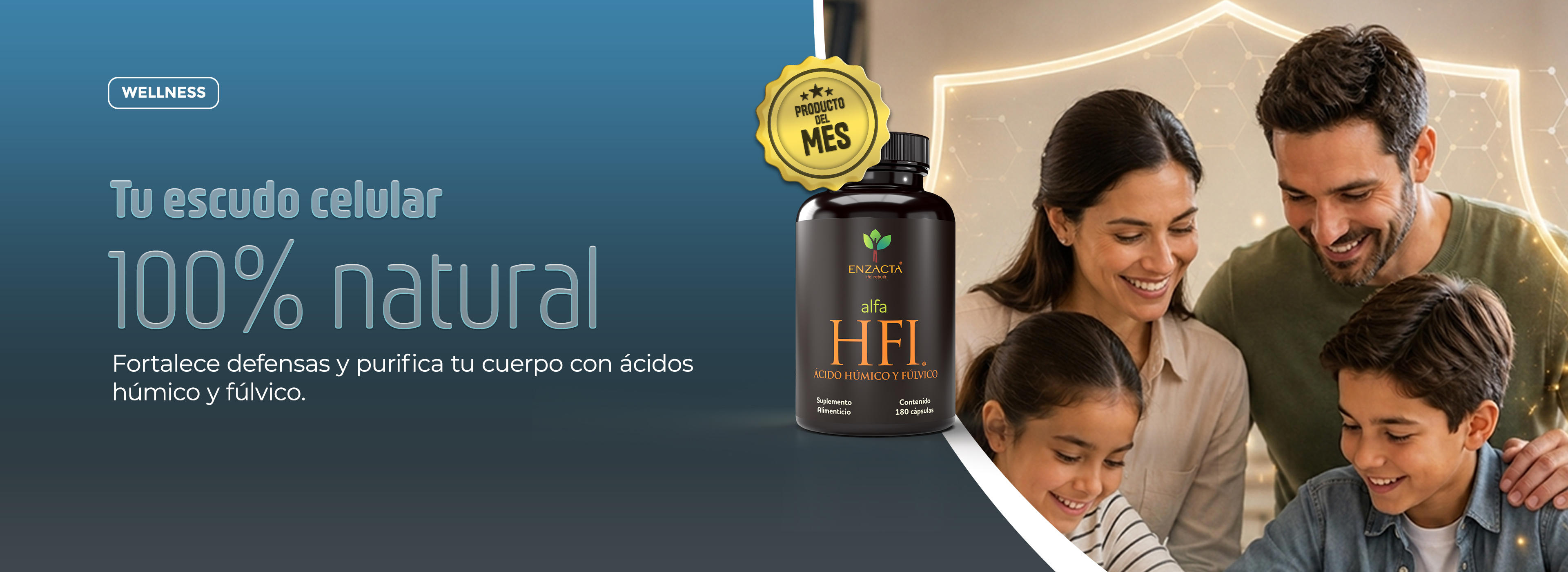 Banner-WP-HFI
