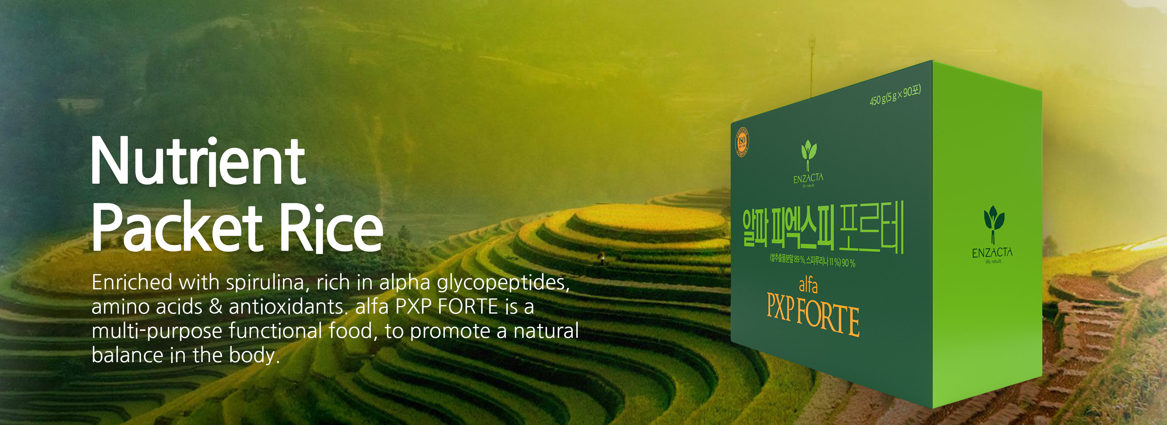 Banner-WP-HomePage