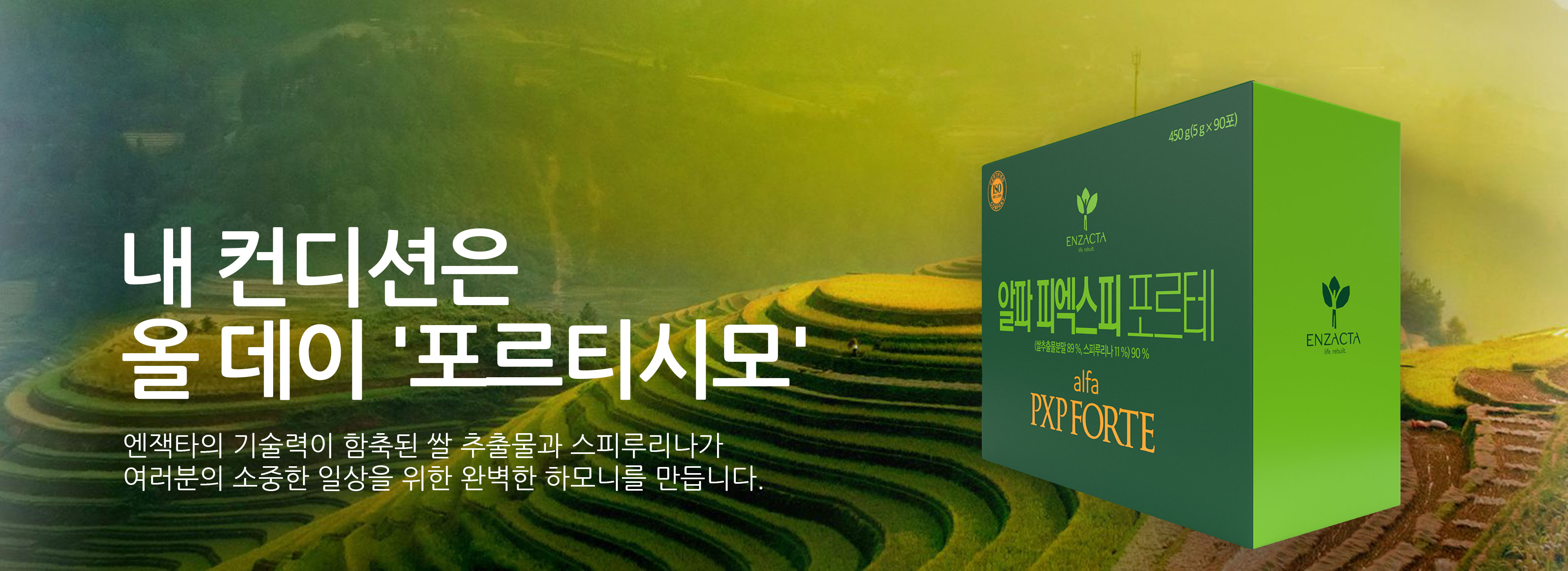 Banner-WP-H-ENERGY