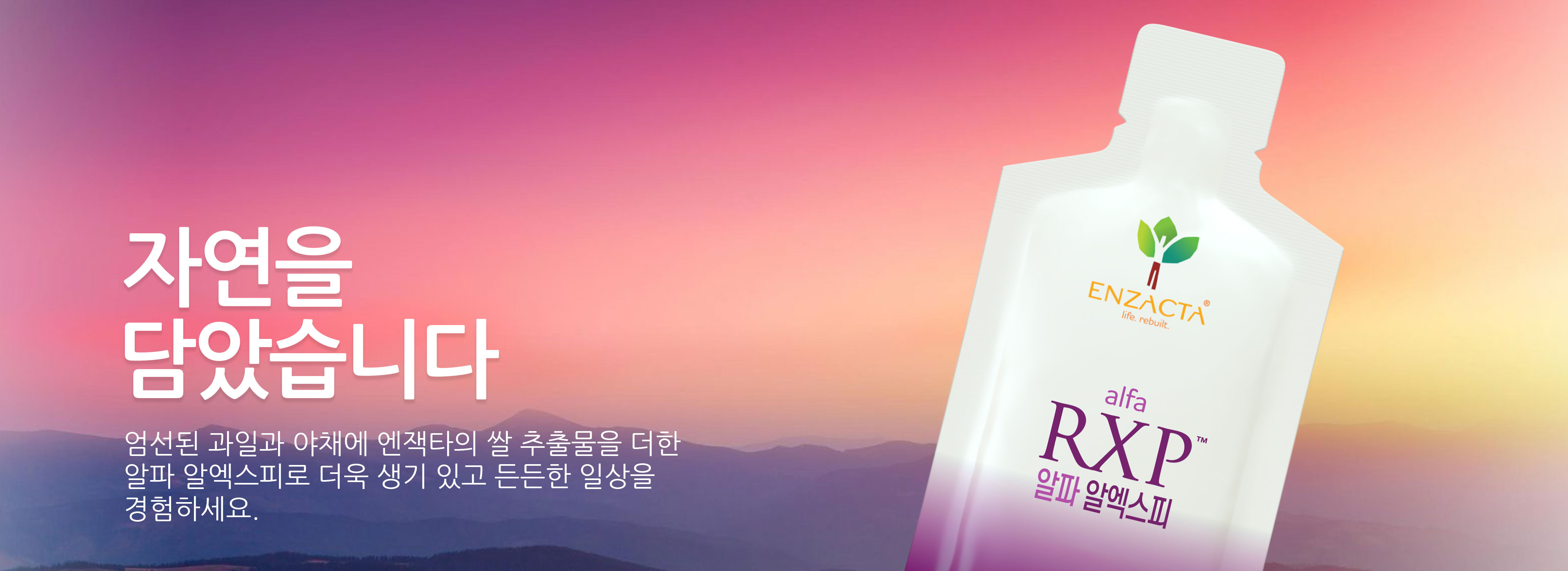 Banner-WP-H-ROYALE