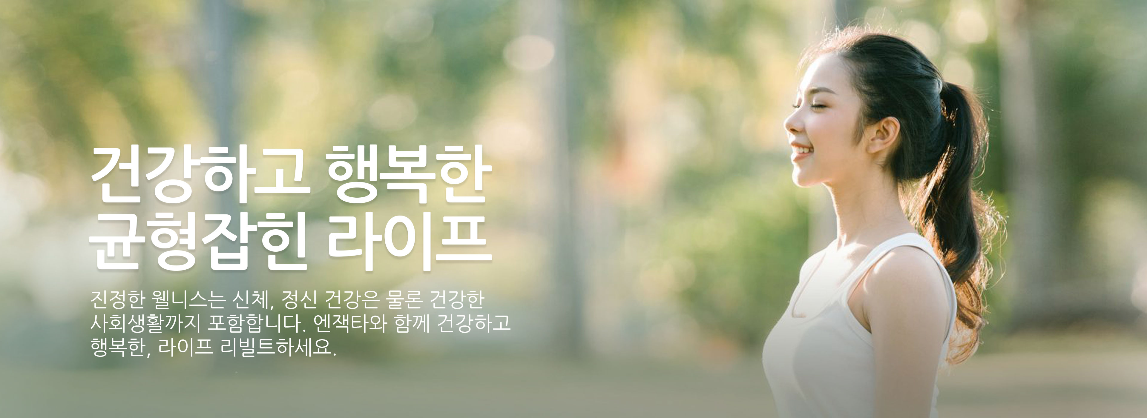 Banner-WP-H-ROYALE
