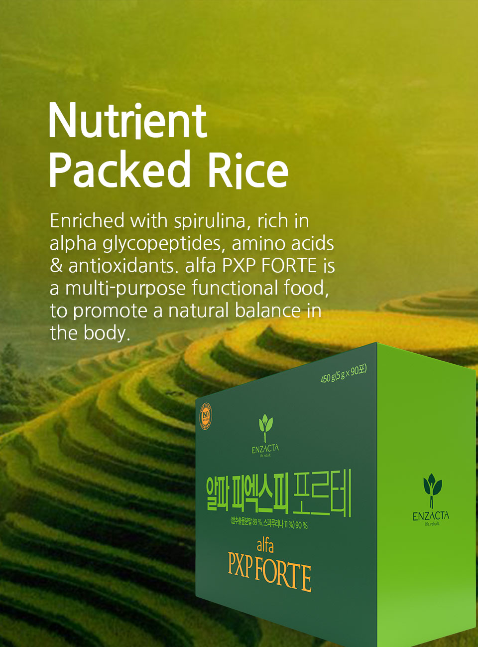Banner-WP-HomePage