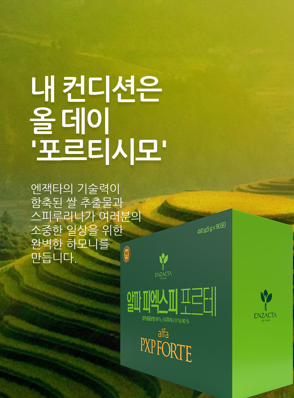 Banner-WP-H-ENERGY