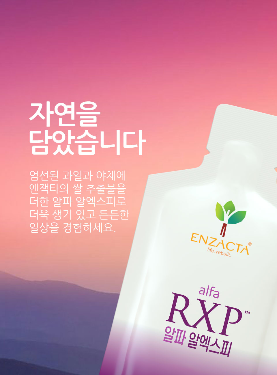Banner-WP-V-ROYALE