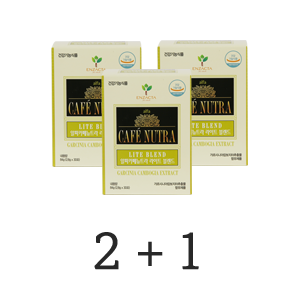 라이트블렌드_2+1