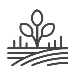 Harvest at the right time icon