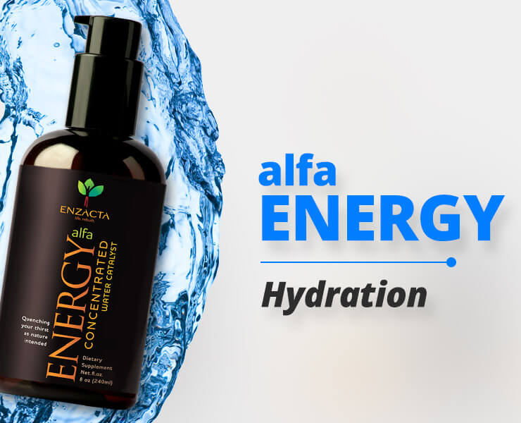 alfa ENERGY: Hydrate & Power