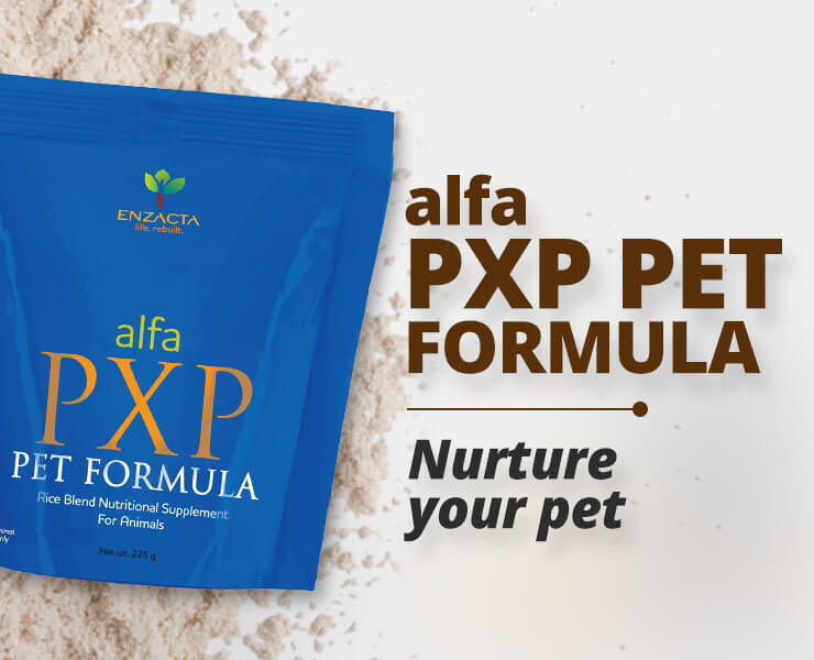alfa PXP PET FORMULA: Nutrition & Wellness