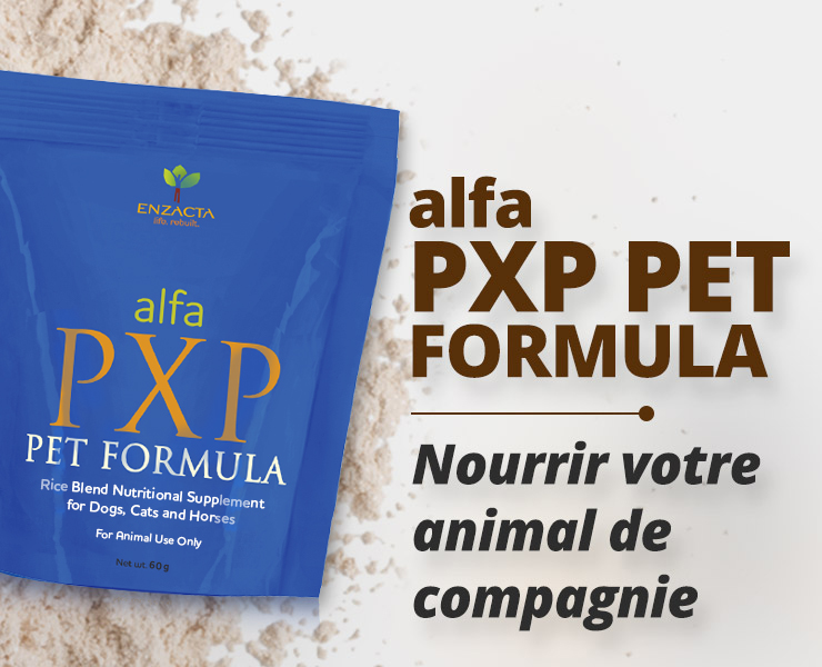 alfa PXP PET FORMULA: Nutrition & Wellness