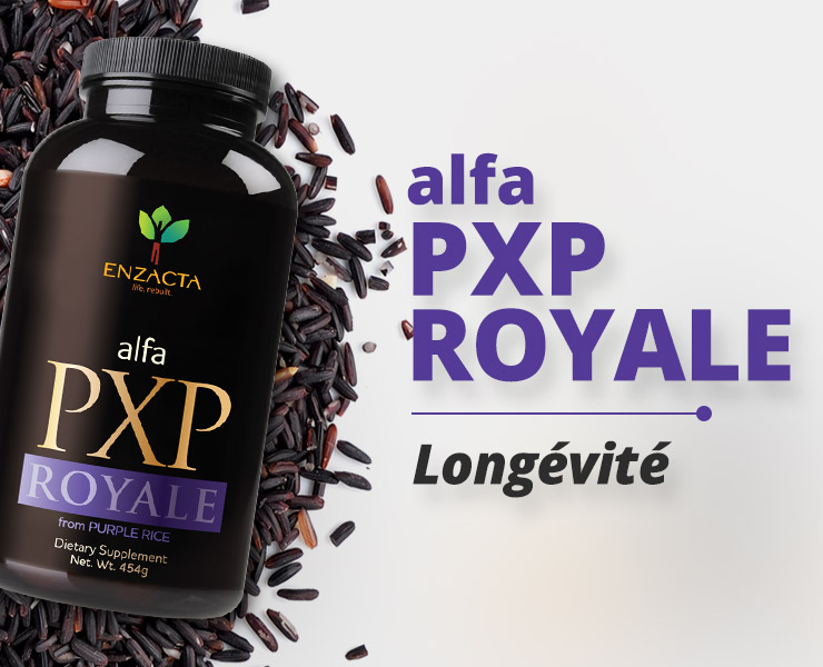 PXP ROYALE: Foodness & Dynamism