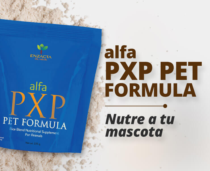 alfa PXP PET FORMULA: Nutrition & Wellness